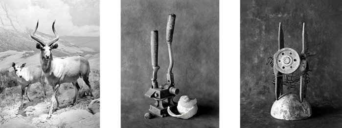 Norman E. Riley: Disparate Elements