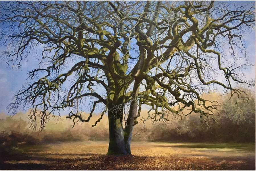 Adam Wolpert: Great Oaks