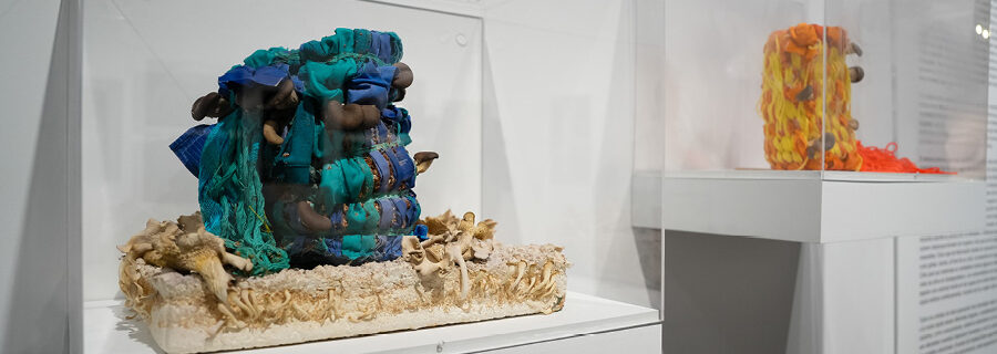 An exhibition shot of "Dirty Laundry" at SLOMA. Two acrylic boxes hang on a gallery wall, each holding piles of textiles covered in living mushrooms.