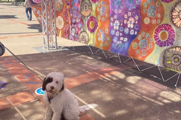 A fluffy white and black dog sits in front of a public artwork with a floral pattern. He clearly loves art.