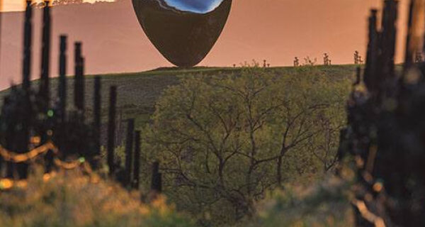 A photograph showing a shiny metal heart sculpture nestled in a vineyard, the sunset glowing beyond