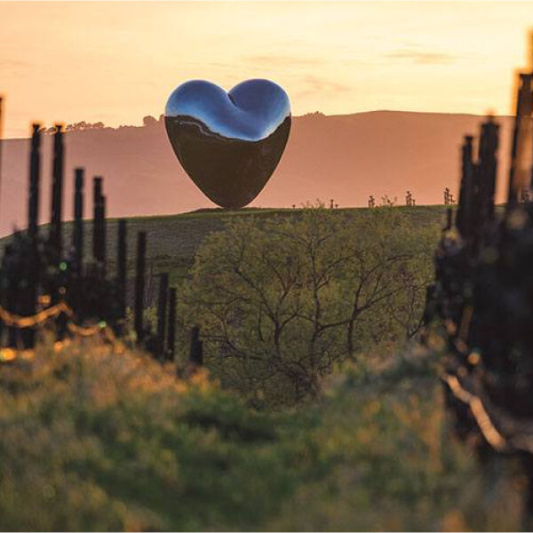 A photograph showing a shiny metal heart sculpture nestled in a vineyard, the sunset glowing beyond