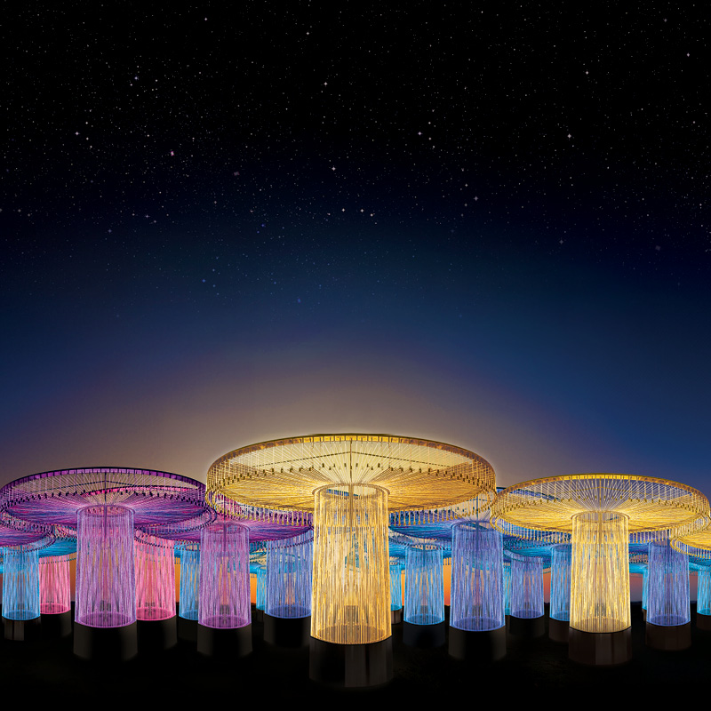 Sensorio at night: dramatic light sculptures in a dark field