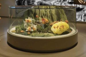 Photo of an installation similar to a terrarium